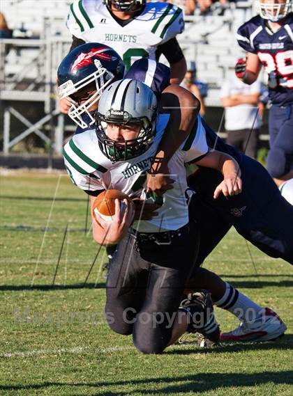 Thumbnail 1 in Carter @  South-Doyle photogallery.