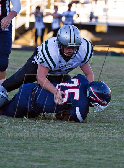 Thumbnail 1 in Carter @  South-Doyle photogallery.