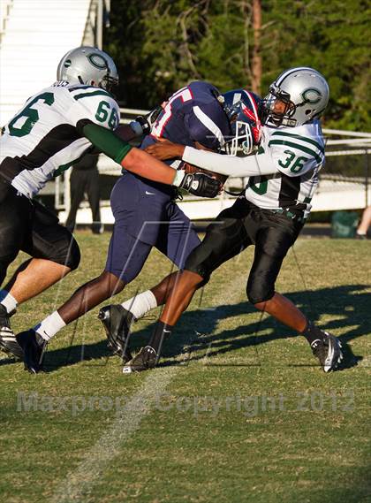 Thumbnail 1 in Carter @  South-Doyle photogallery.