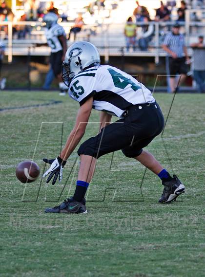 Thumbnail 2 in Carter @  South-Doyle photogallery.