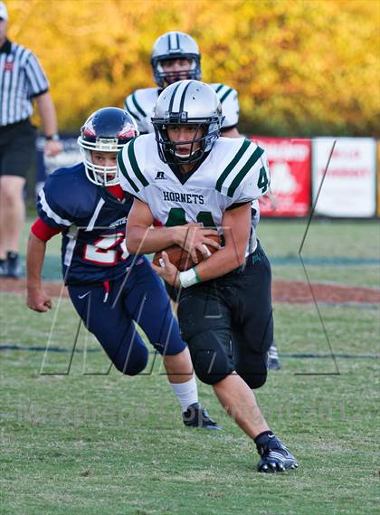 Thumbnail 3 in Carter @  South-Doyle photogallery.