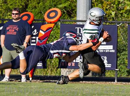 Thumbnail 1 in Carter @  South-Doyle photogallery.