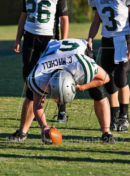 Thumbnail 3 in Carter @  South-Doyle photogallery.