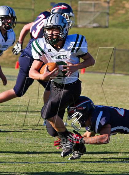 Thumbnail 1 in Carter @  South-Doyle photogallery.