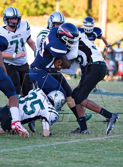 Thumbnail 1 in Carter @  South-Doyle photogallery.