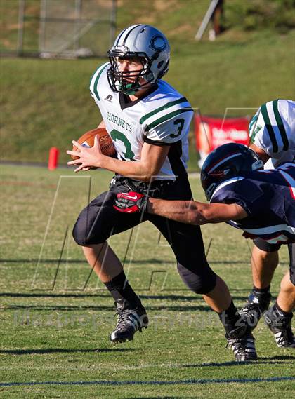 Thumbnail 3 in Carter @  South-Doyle photogallery.