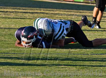 Thumbnail 3 in Carter @  South-Doyle photogallery.