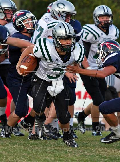 Thumbnail 1 in Carter @  South-Doyle photogallery.