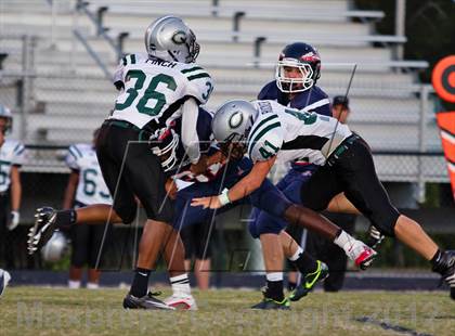 Thumbnail 2 in Carter @  South-Doyle photogallery.