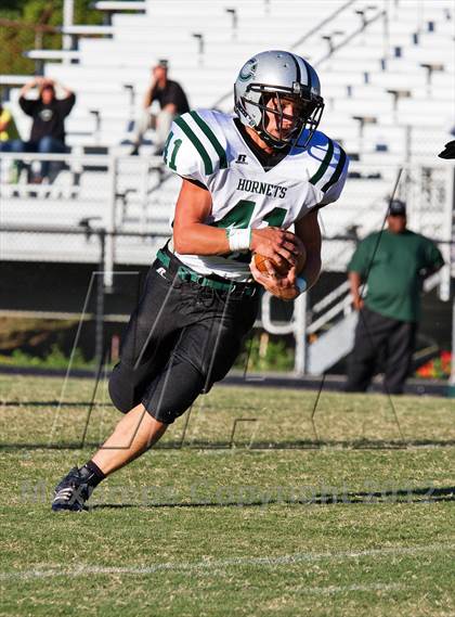 Thumbnail 1 in Carter @  South-Doyle photogallery.