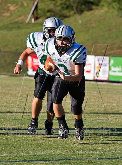 Thumbnail 1 in Carter @  South-Doyle photogallery.