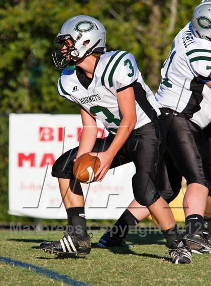 Thumbnail 1 in Carter @  South-Doyle photogallery.