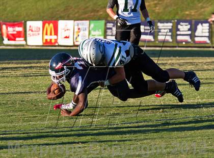Thumbnail 2 in Carter @  South-Doyle photogallery.