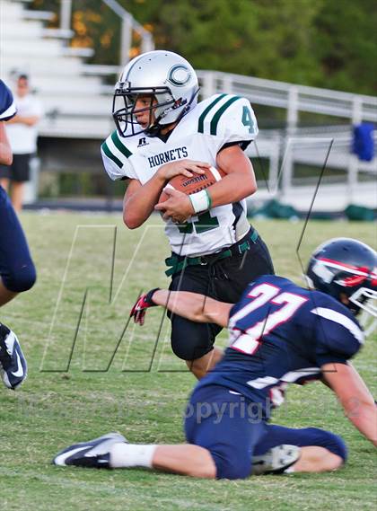 Thumbnail 1 in Carter @  South-Doyle photogallery.