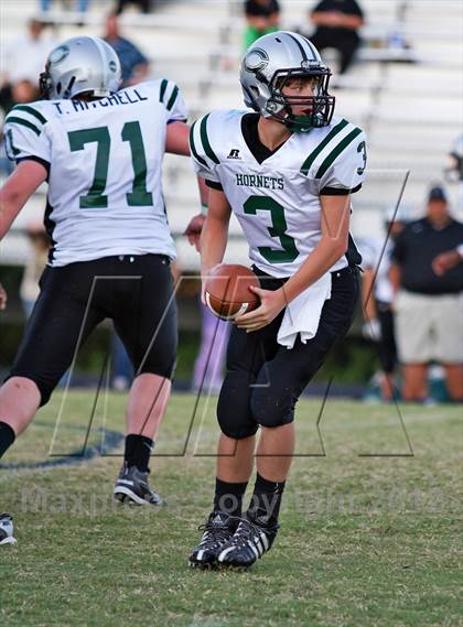 Thumbnail 2 in Carter @  South-Doyle photogallery.