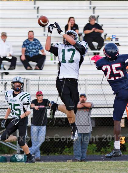 Thumbnail 3 in Carter @  South-Doyle photogallery.