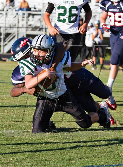 Thumbnail 2 in Carter @  South-Doyle photogallery.