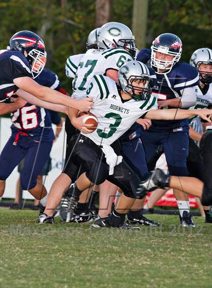 Thumbnail 3 in Carter @  South-Doyle photogallery.