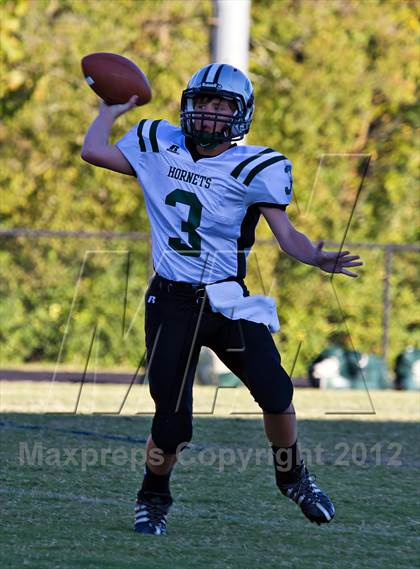Thumbnail 2 in Carter @  South-Doyle photogallery.