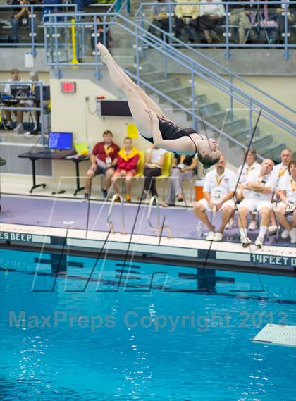 Thumbnail 2 in NYSPHSAA Girls Diving Final photogallery.