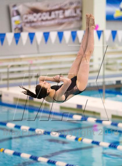 Thumbnail 1 in NYSPHSAA Girls Diving Final photogallery.