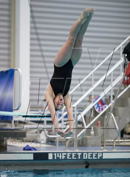 Thumbnail 1 in NYSPHSAA Girls Diving Final photogallery.