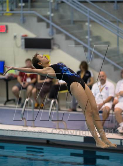 Thumbnail 1 in NYSPHSAA Girls Diving Final photogallery.