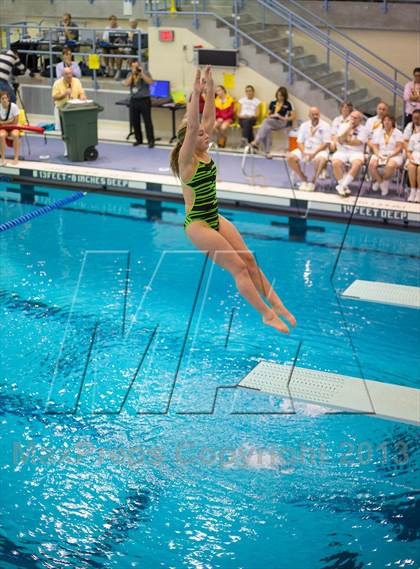 Thumbnail 1 in NYSPHSAA Girls Diving Final photogallery.