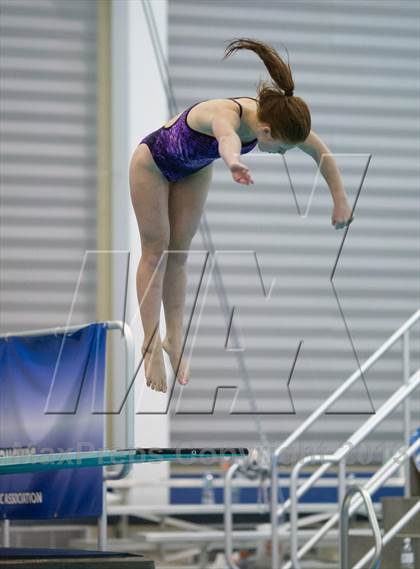 Thumbnail 3 in NYSPHSAA Girls Diving Final photogallery.