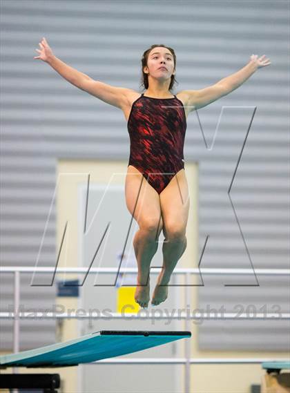 Thumbnail 3 in NYSPHSAA Girls Diving Final photogallery.
