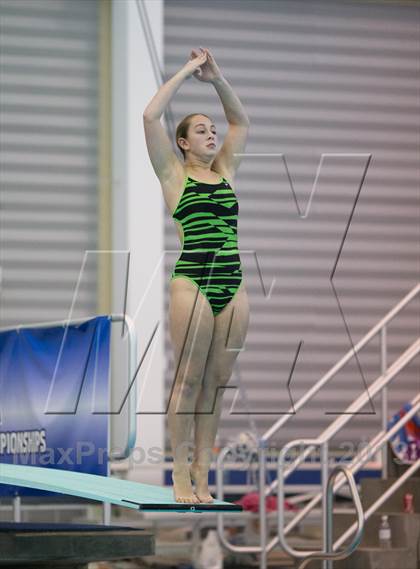 Thumbnail 1 in NYSPHSAA Girls Diving Final photogallery.