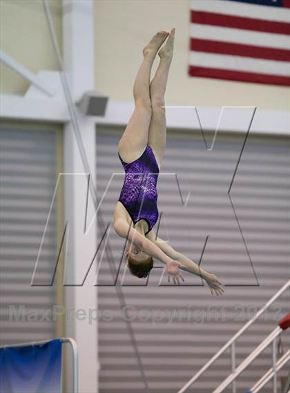 Thumbnail 1 in NYSPHSAA Girls Diving Final photogallery.