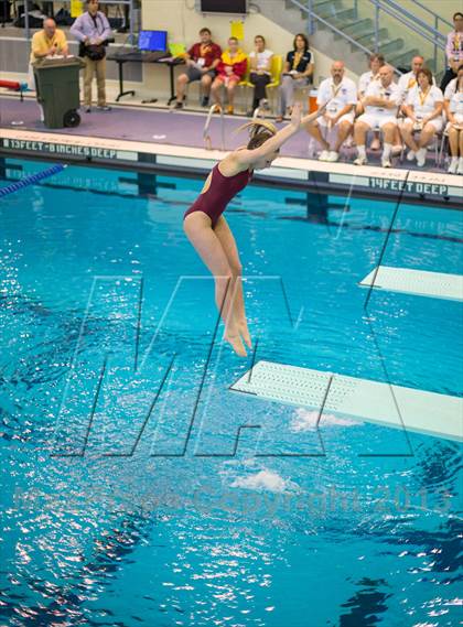 Thumbnail 3 in NYSPHSAA Girls Diving Final photogallery.