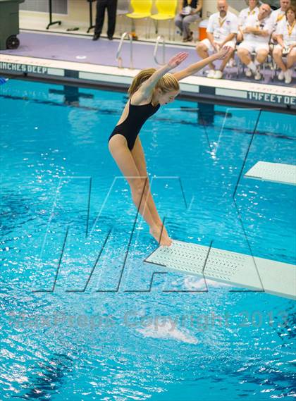 Thumbnail 1 in NYSPHSAA Girls Diving Final photogallery.