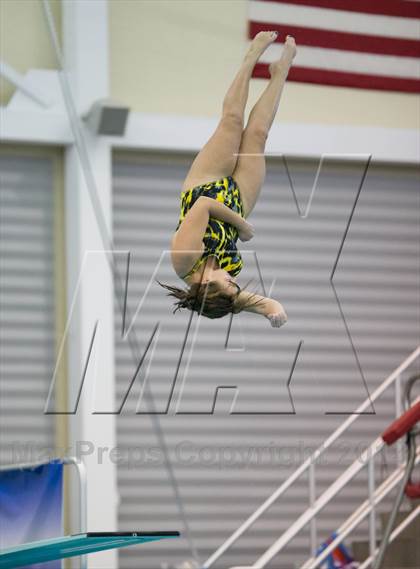 Thumbnail 1 in NYSPHSAA Girls Diving Final photogallery.