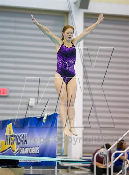 Thumbnail 3 in NYSPHSAA Girls Diving Final photogallery.