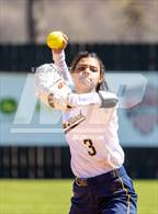 Photo from the gallery "Olive Branch @ Lake Cormorant"