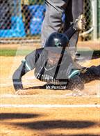 Photo from the gallery "Olive Branch @ Lake Cormorant"