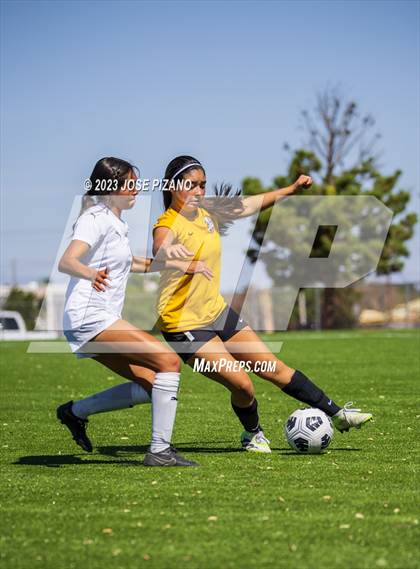 Thumbnail 1 in Valencia @ Alamogordo photogallery.