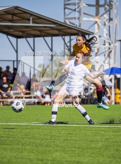 Thumbnail 1 in Valencia @ Alamogordo photogallery.