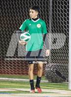 Photo from the gallery "Miramonte @ Concord"