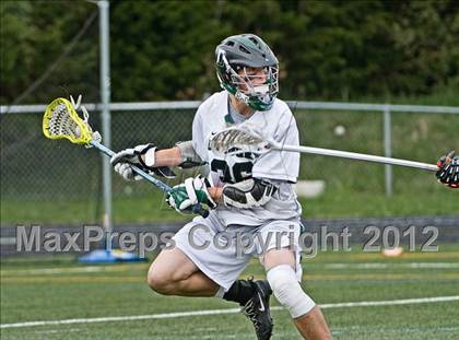 Thumbnail 3 in Niskayuna @ Duxbury photogallery.