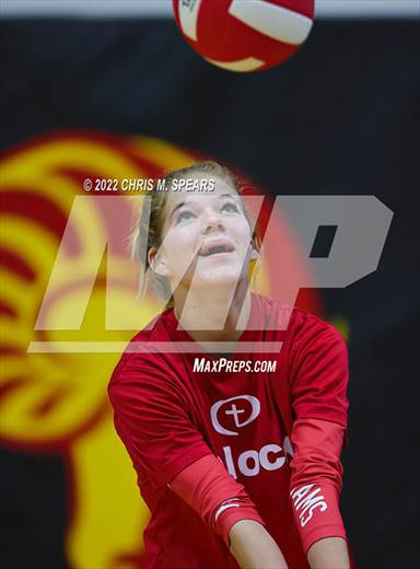 null - Photo 01