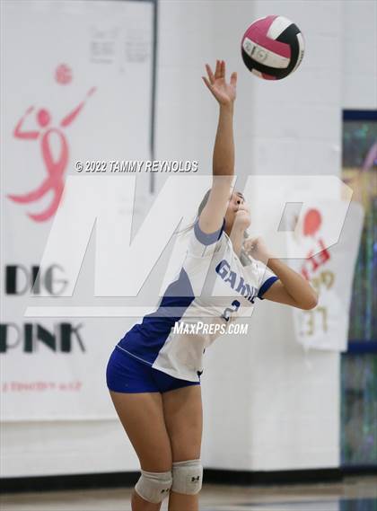Thumbnail 1 in Garner @ Perrin-Whitt photogallery.