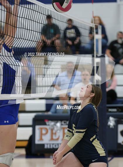 Thumbnail 2 in Garner @ Perrin-Whitt photogallery.