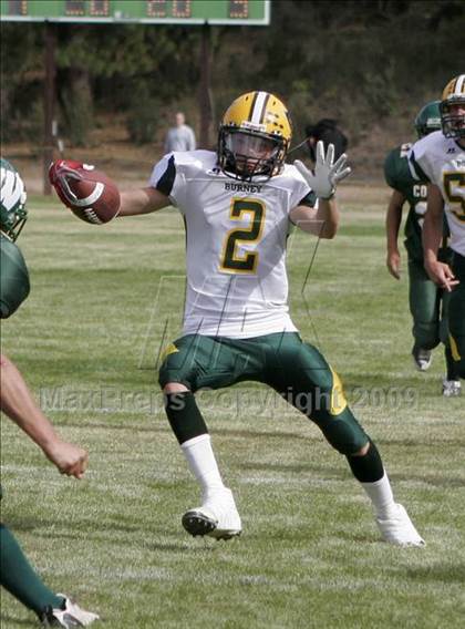 Thumbnail 3 in Burney @ Weed photogallery.