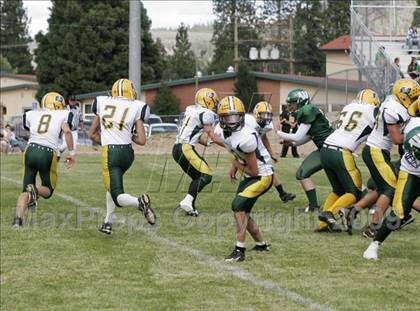 Thumbnail 2 in Burney @ Weed photogallery.