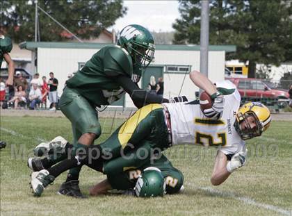 Thumbnail 1 in Burney @ Weed photogallery.