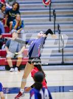 Photo from the gallery "Hemet @ Great Oak"