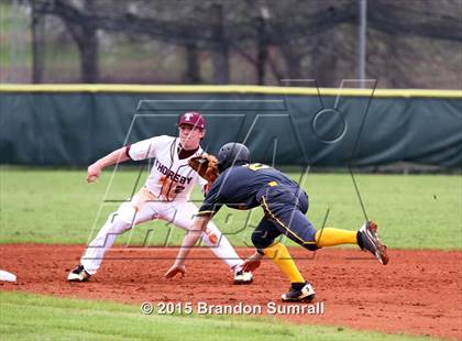 Thumbnail 3 in Billingsley @ Thorsby photogallery.
